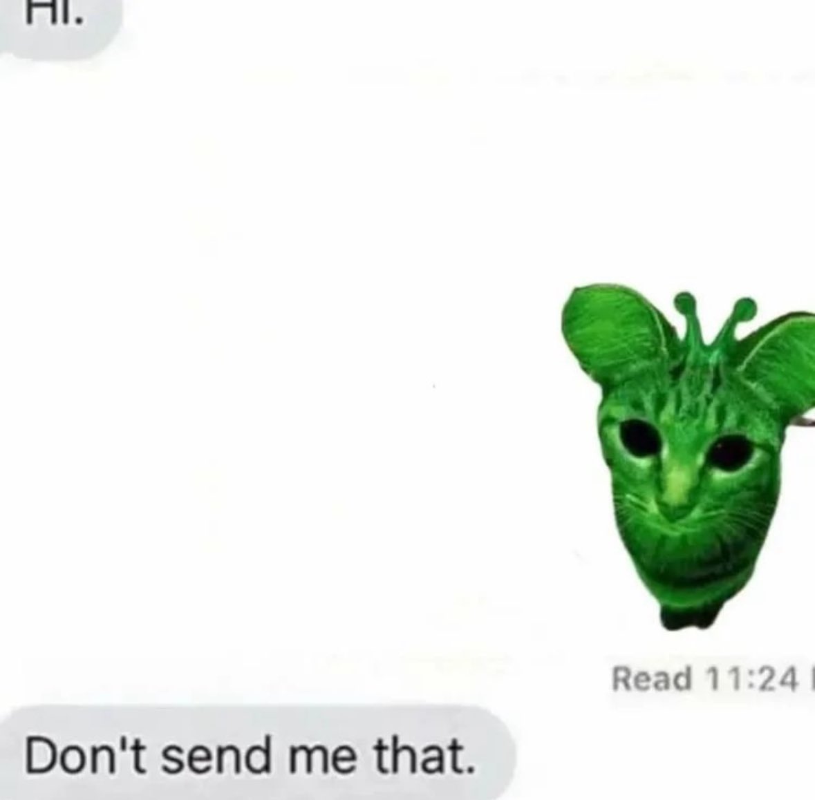 glorp (@glorpcatsol) on Twitter photo 