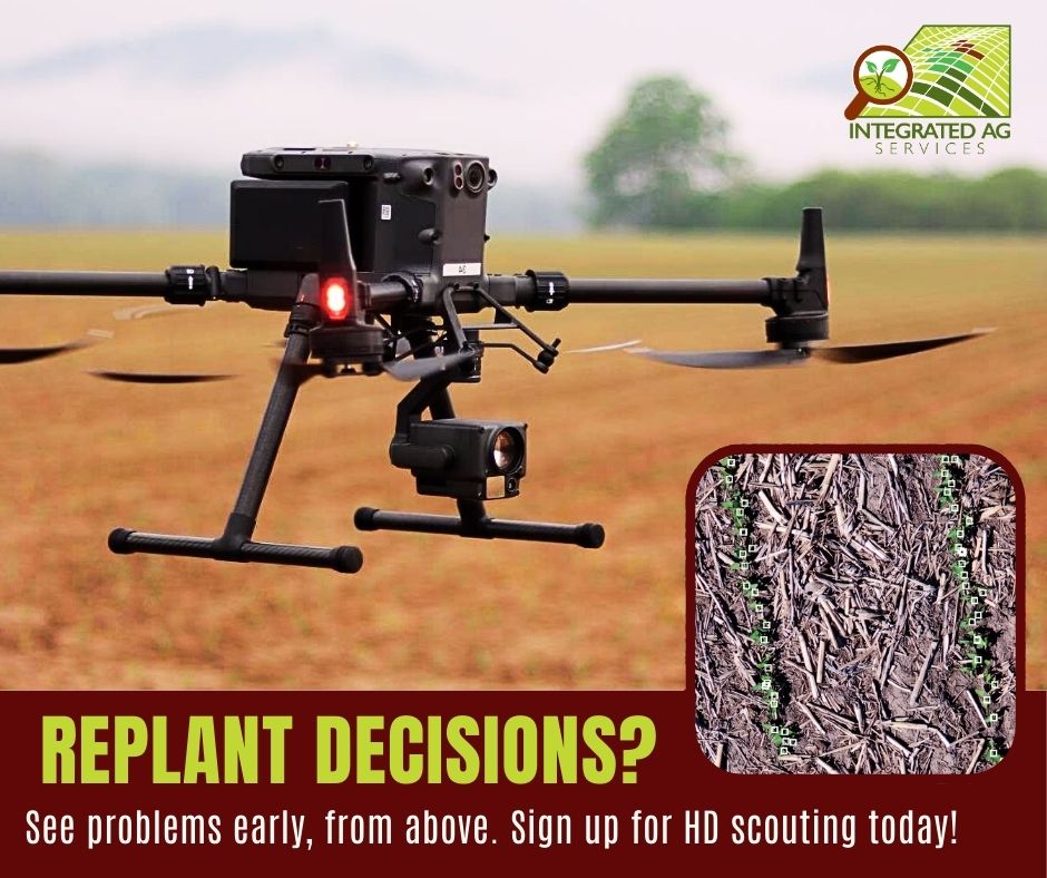 IntegratedAg's tweet image. Get a bird's-eye view of crop emergence with HD drone scouting! Early detection, better decisions, and healthier fields ahead. Learn more by visiting: integratedag.net/hdscouting