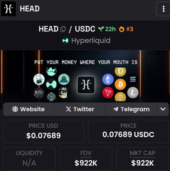 $HEAD's dexscreener link has been updated. 

dexscreener.com/hyperliquid/0x…

Documentation, Github and roadmap being published in the coming days.