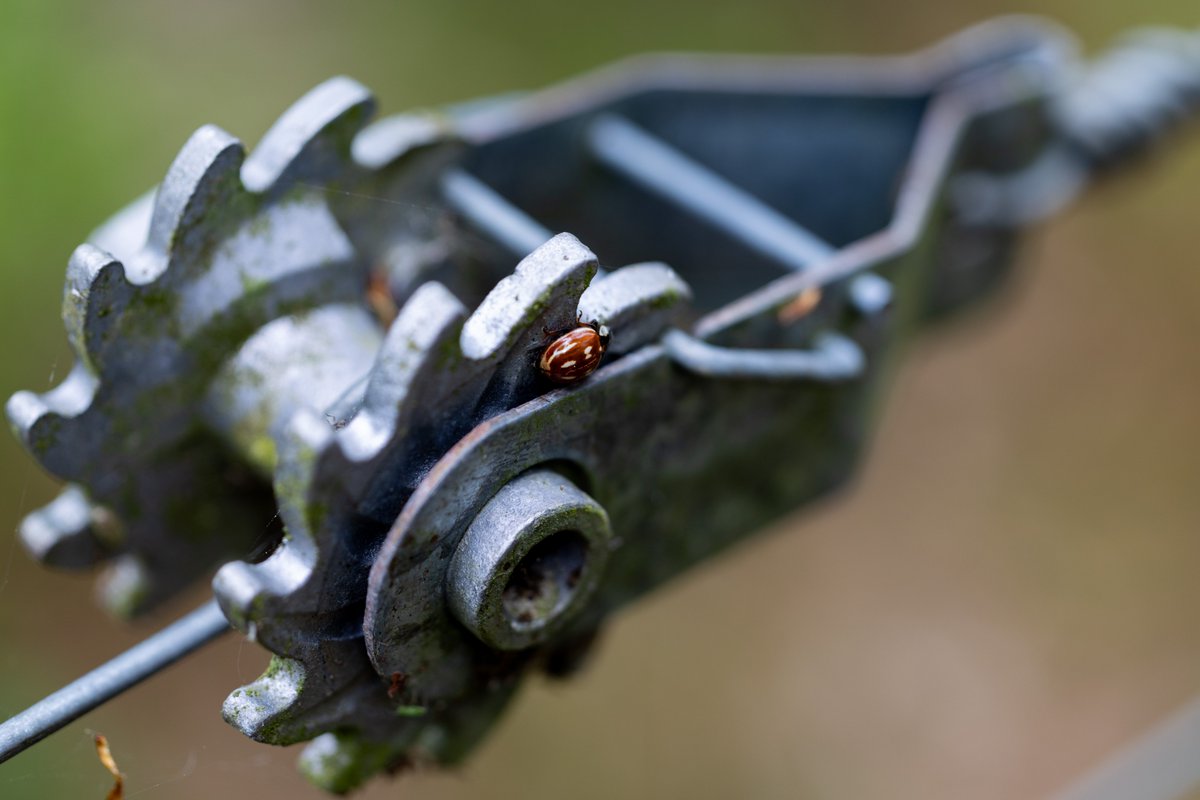 uxian's tweet image. Found a bug in the machine
