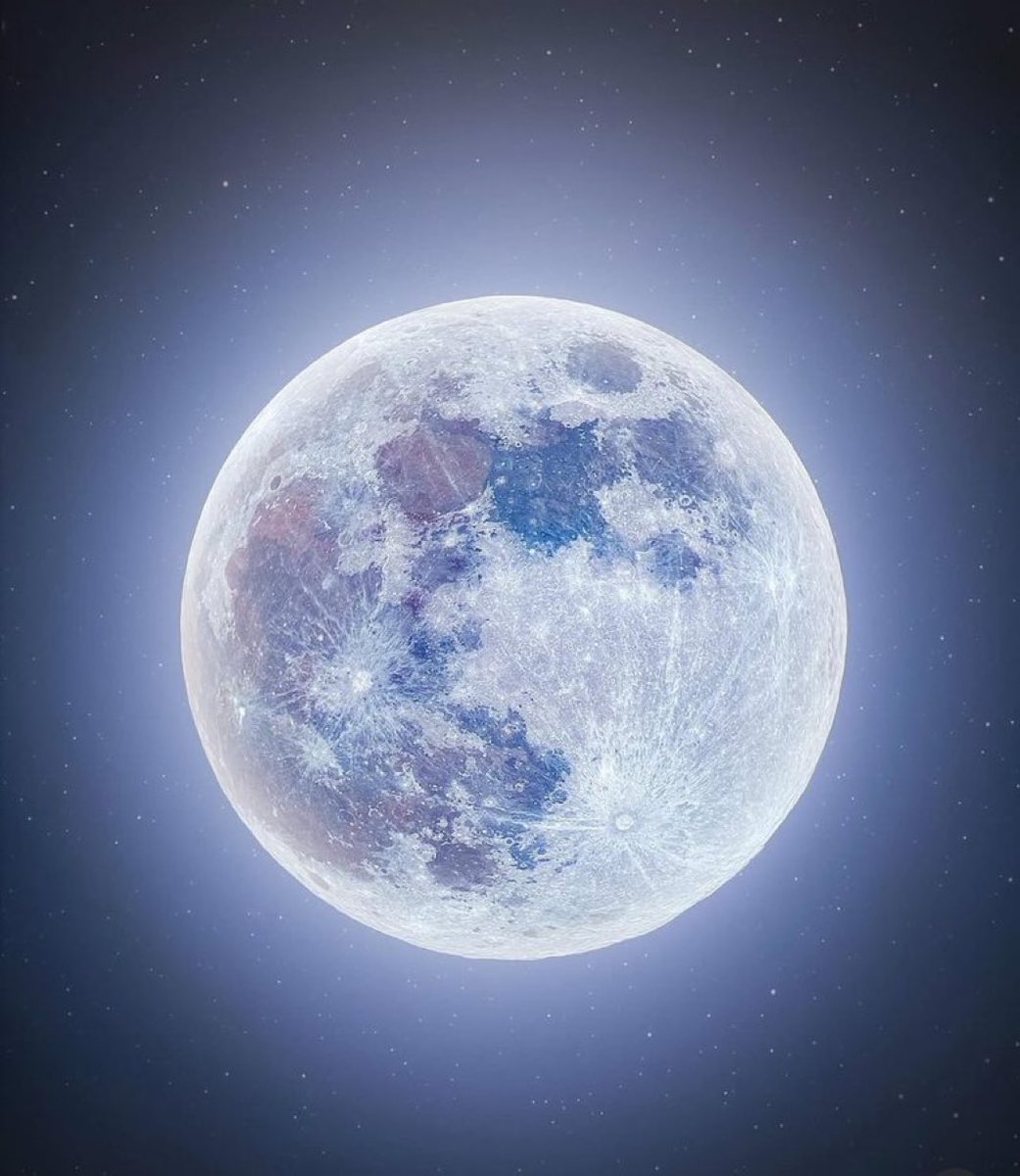 MOON LOVER tweet media