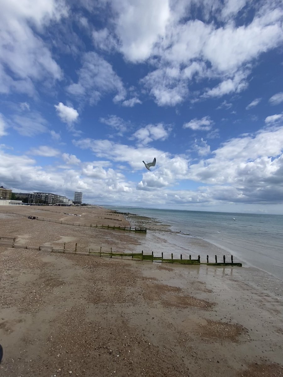 Brighton Beauty (@magicbrighton) on Twitter photo Not a day for wig-wearers here on a very windy Worthing seafront today…
#worthing #sussex <a href="/ThePhotoHour/">#ThePhotoHour</a> <a href="/StormHour/">#StormHour</a> <a href="/StormHourMark/">Mark Boardman</a> #Weather Not a day for wig-wearers here on a very windy Worthing seafront today…
#worthing #sussex <a href="/ThePhotoHour/">#ThePhotoHour</a> <a href="/StormHour/">#StormHour</a> <a href="/StormHourMark/">Mark Boardman</a> #Weather