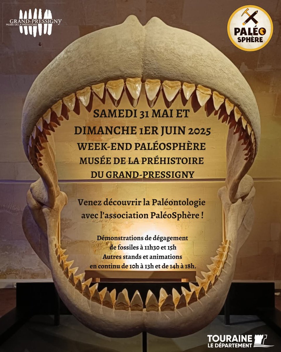 PALÉOSPHÈRE ⛏🦕🖍 (@apaleosphere) on Twitter photo <a href="/AIexis_Da_Costa/">ALEXIS DA COSTA</a> <a href="/JURASSIK_cedrik/">🦆 Cédrik JURASSIK 🌿</a> <a href="/valeoraptor/">Valéoraptor</a> Thibandit et Charline Paléo seront au Musée de la Préhistoire du Grand-Pressigny (sud Indre-et-Loire) le 31 Mai & le 1er Juin ! 😎
Dégagements de fossiles, animations paléo et paléoart, de quoi satisfaire votre curiosité ! 🤠 <a href="/AIexis_Da_Costa/">ALEXIS DA COSTA</a> <a href="/JURASSIK_cedrik/">🦆 Cédrik JURASSIK 🌿</a> <a href="/valeoraptor/">Valéoraptor</a> Thibandit et Charline Paléo seront au Musée de la Préhistoire du Grand-Pressigny (sud Indre-et-Loire) le 31 Mai & le 1er Juin ! 😎
Dégagements de fossiles, animations paléo et paléoart, de quoi satisfaire votre curiosité ! 🤠