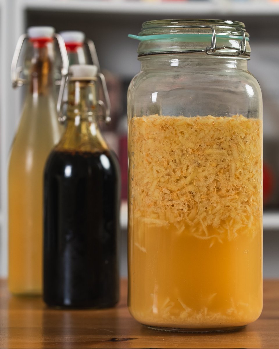 thedenispashkov's tweet image. Some ginger bug action. Ever wondered how to ferment any probiotic-rich soda? Just add a tad of ginger bug!

Posted a detailed recipe on my website cosmos-society.com 
#fermentedsoda #gingerbug #fermentation