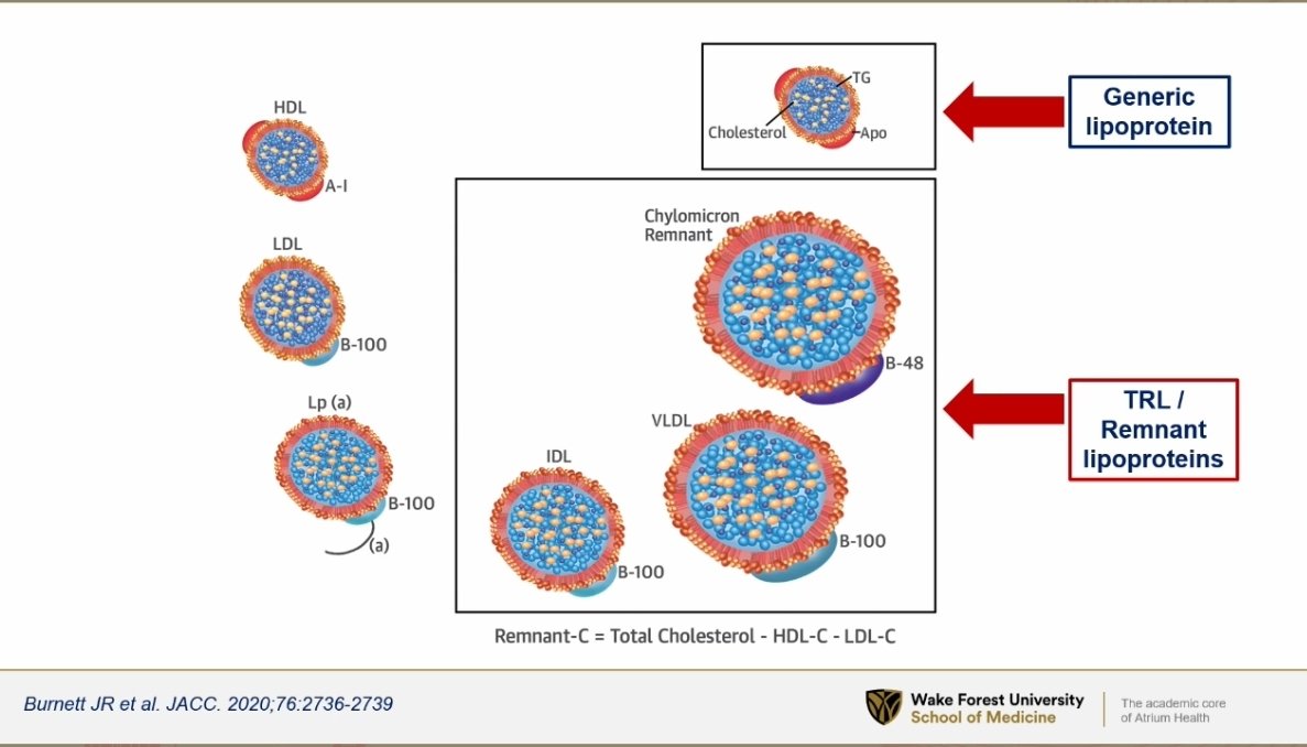 Sergio Kaiser MD, PhD, FACC, FESC 🇧🇷🇮🇱🇷🇴🇺🇦 (@pabeda1) on Twitter photo <a href="/DrMichaelShapir/">Michael D. Shapiro</a> on residual risk related to triglyceride-rich lipoproteins at #EAScongress2025 #CardioTwitter #Cardiology <a href="/DrMichaelShapir/">Michael D. Shapiro</a> on residual risk related to triglyceride-rich lipoproteins at #EAScongress2025 #CardioTwitter #Cardiology