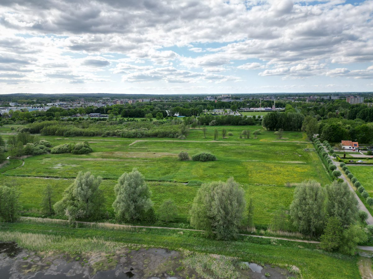 S for Software tweet media