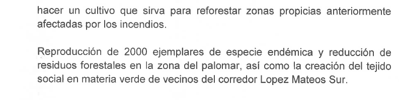 JPMS79's tweet photo. Aquí tienen las "credenciales" del flamante director de Gestión del Medio Ambiente de Tlajomulco para que fuera ungido con el Reconocimiento al Mérito Ambiental 2024 que le otorgó la Comisión de Medio Ambiente, que presidió @ErikaRamirezD17 https://t.co/lrWTBMPFhf