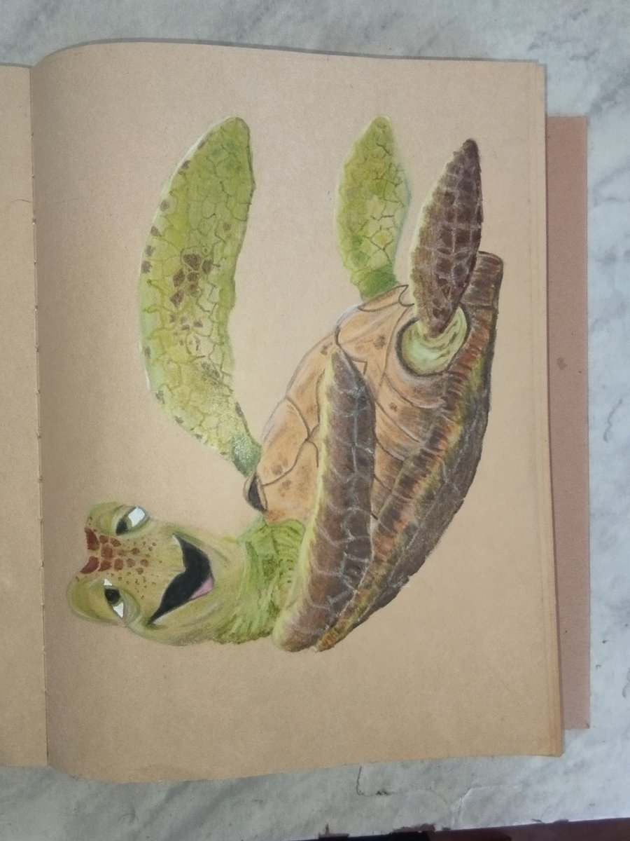 ArlopaFa's tweet photo. #buscandoanemo #Parati #Disney #tortugas #prismacolor #kraft https://t.co/WaA5K5qYS5