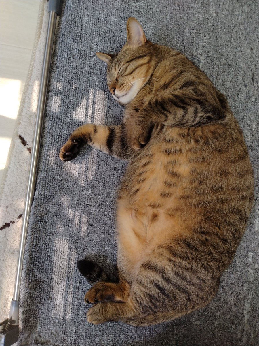 まぁ-ﾁｬﾝ (@makitan0110) / Posts / X