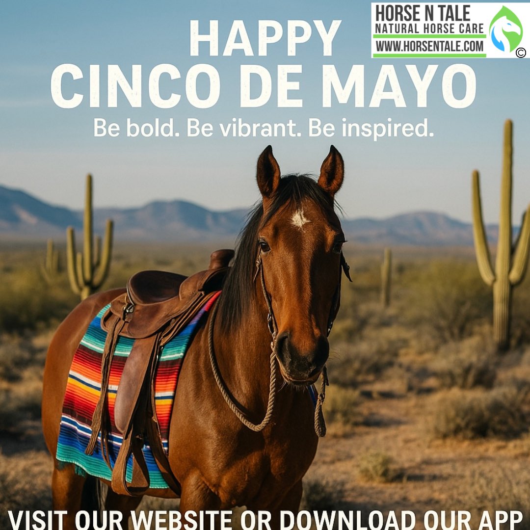 HorsenTale1's tweet photo. 🌵🐴 Celebrate Cinco de Mayo with Your #Horse at Its Best! 🎉🔥  

✅ Powerful, #natural products to keep your horse feeling and performing at their best.  

#horsentale #topicalequineproducts #naturalhorsecare #teamhnt #teamhorsentale #equine #naturalingredients #CincoDeMayo https://t.co/igaParqkSG
