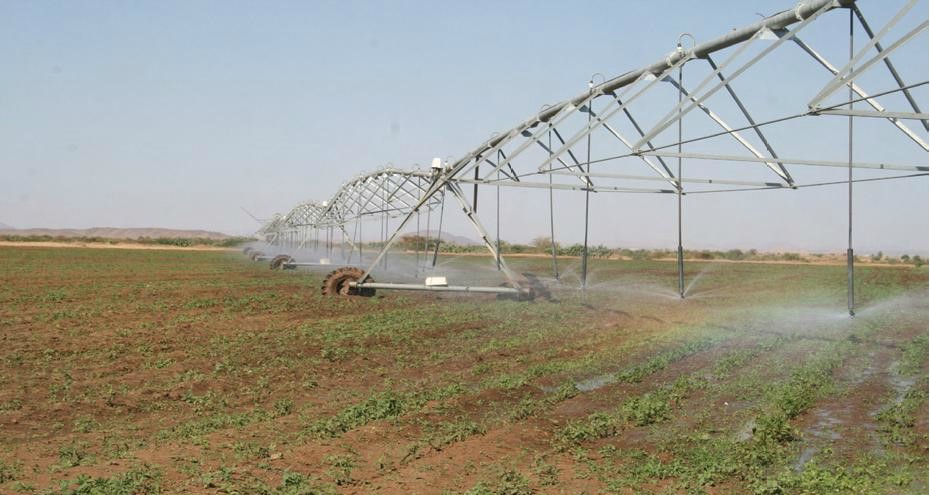 hawelti's tweet photo. Good Read: Advancing Food Security and Agricultural Development in #Eritrea; by Bana Negusse

*Eritrea launched the Minimum Integrated Household Agricultural Package (MIHAP) in 2013, demonstrating its commitment to inclusion & sustainabe improvement in productivity at the micro level. Under this initiative, each rural household receives a comprehensive package that includes: one improved dairy cow or 12 goats, 25 chickens, two beehives, 20 trees (fruit, leguminous, and firewood varieties), a vegetable garden, crop land, and access to modern agricultural inputs and training. Thousands of households – and many headed by women – have benefited from this support package, leading to improved food and nutrition security, reduced poverty, and enhanced self-sufficiency.

*In recent years, Eritrea has also developed plans, even if still on a small scale, to promote urban and peri-urban agriculture through innovative methods such as vertical farming, rooftop gardening, hydroponics, and aquaponics. These integrated systems aim to diversify diets and improve nutrition by combining nutrient-dense crops with short cycle livestock like chickens, rabbits, and pigs.

https://t.co/N1JKJwXbqQ