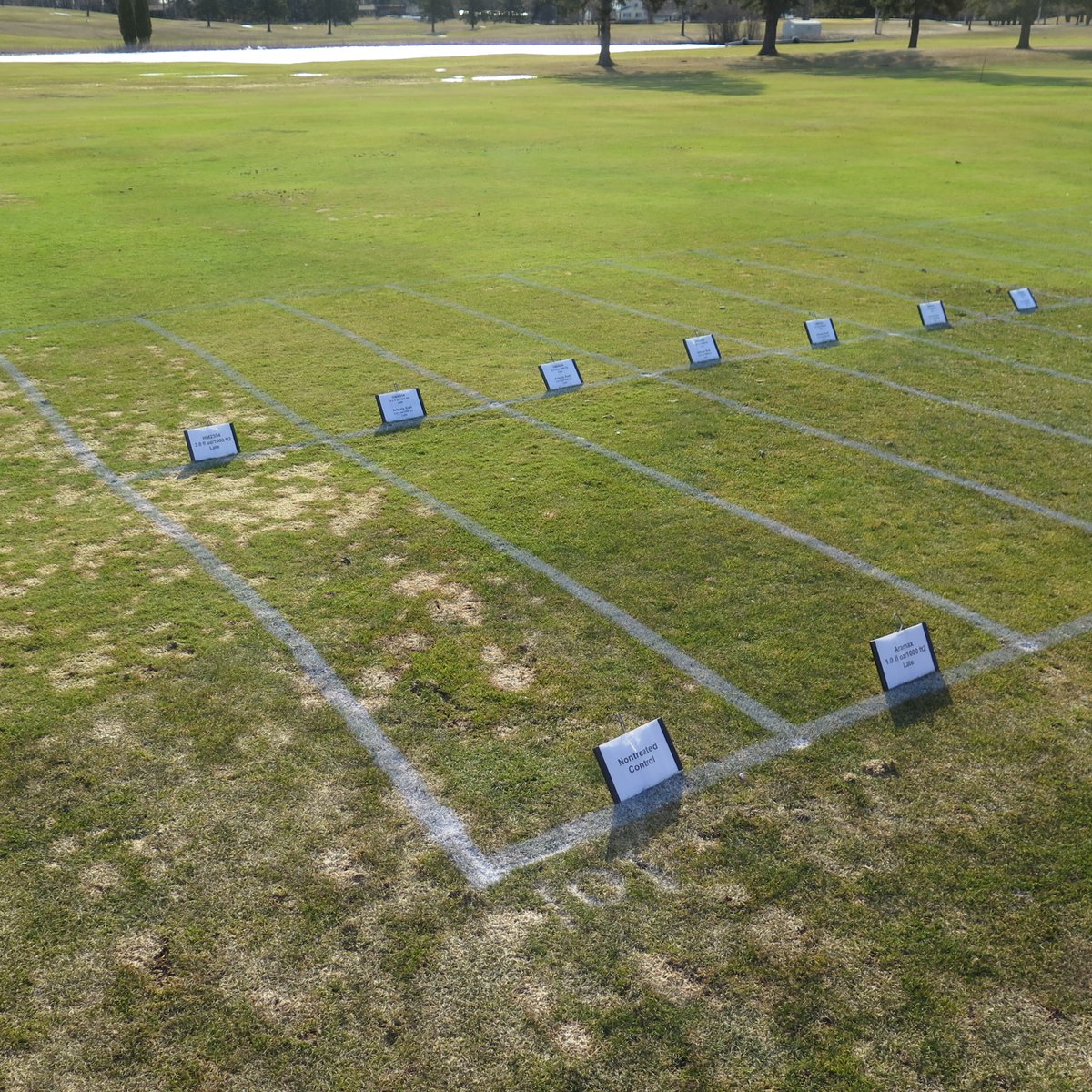 plkoch2's tweet image. It wasn't a banner snow mold year for our testing by any means, but still plenty of great data from our 2024-2025 research! Give it a look as you begin to build your 2025-2026 snow mold programs. Thanks to @kurtaculous for his work managing the trials!
tdl.wisc.edu/2024-2025-snow…