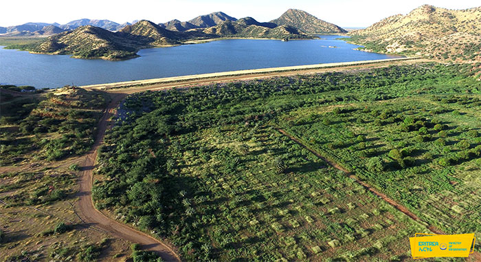 hawelti's tweet photo. Good Read: Advancing Food Security and Agricultural Development in #Eritrea; by Bana Negusse

*Eritrea launched the Minimum Integrated Household Agricultural Package (MIHAP) in 2013, demonstrating its commitment to inclusion & sustainabe improvement in productivity at the micro level. Under this initiative, each rural household receives a comprehensive package that includes: one improved dairy cow or 12 goats, 25 chickens, two beehives, 20 trees (fruit, leguminous, and firewood varieties), a vegetable garden, crop land, and access to modern agricultural inputs and training. Thousands of households – and many headed by women – have benefited from this support package, leading to improved food and nutrition security, reduced poverty, and enhanced self-sufficiency.

*In recent years, Eritrea has also developed plans, even if still on a small scale, to promote urban and peri-urban agriculture through innovative methods such as vertical farming, rooftop gardening, hydroponics, and aquaponics. These integrated systems aim to diversify diets and improve nutrition by combining nutrient-dense crops with short cycle livestock like chickens, rabbits, and pigs.

https://t.co/N1JKJwXbqQ