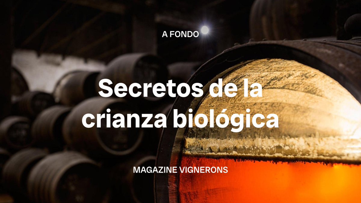 Los vinos elaborados bajo crianza biológica son secos, punzantes, complejos… incluso románticos. Su sello de identidad es el velo, un elemento que nace en unas condiciones muy concretas. 

En este artículo ofrecemos algunas de sus claves.

bodeboca.com/blog/secretos-…