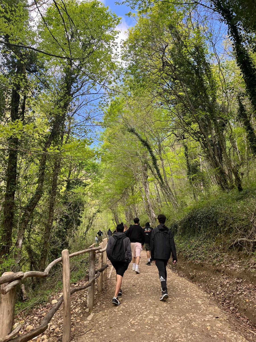Ins4Cantons's tweet photo. L’alumnat de 1r de Batxillerat ha gaudit  d'Euskadi, explorant el castell d’Olite, el casc antic de Pamplona, Arbizu i Tolosa. Han descobert la història social de l’euskera amb @galtzaundi i han gaudit de moments de natura a la platja de la Concha i pels gorgs de l’Urederra🏰🌳🏖️ https://t.co/n9sOaYAWu1