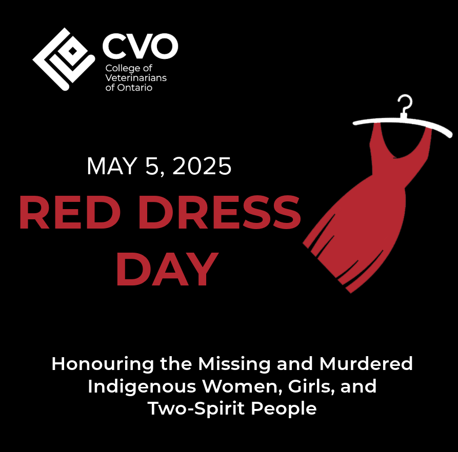 On #RedDressDay, the National Day of Awareness for Missing &amp; Murdered Indigenous Women, Girls, &amp; Two-Spirit People, the College reflects on those who are missing or have lost their lives. We encourage you to acknowledge the violence that continues to affect Indigenous communities