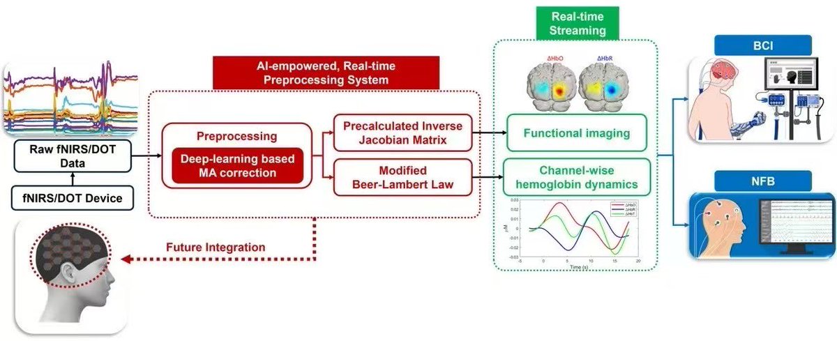 I’m glad to share that our latest edge AI for fNIRS work has been published in TNSRE. 

We proposed a deep learning-based real-time DOT imaging system with automatic motion artifact correction, supporting applications such as NFB and BCI.  

doi.org/10.1109/tnsre.…