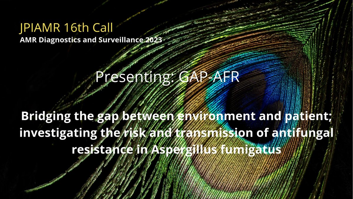 We are happy to present the #AMR research project GAP-AFR, supported in the 2023 JPIAMR Call. 

Facts: jpiamr.eu/projects/gap-a…
View: youtu.be/qLnal4aXs8k

#antimicrobialresistance #funding
