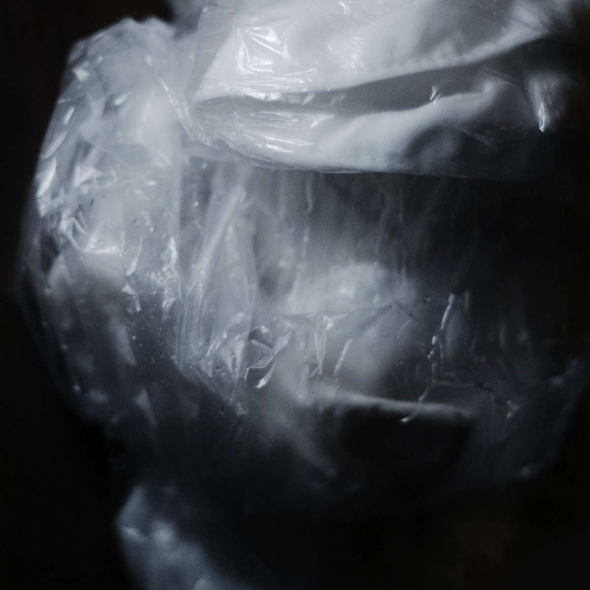 “KOKEI NO AWAI” out now.

『光景のあわい』kent watari
12曲の新作フルレングスアルバムです。
アメリカのレーベル Mystery Circles <a href="/MysteryCircles/">Mystery Circles</a> よりリリースされました。
じっくり作った自信作です。

お昼12時よりbandcampにてカセットも販売されます。ぜひフィジカルでも！