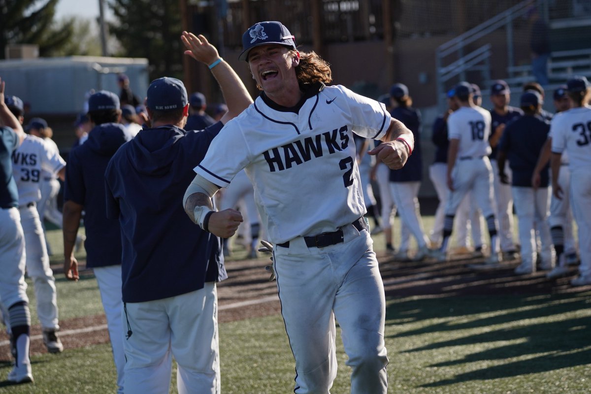 Blue Hawk Baseball tweet media