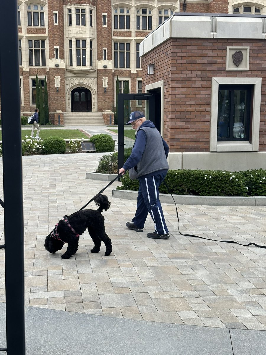 abc7Carley's tweet photo. Hope the therapy dog is on campus to help students grieve after the loss of a classmate Sunday. Braun Levi died after being hit and killed by an alleged drunk driver in Manhattan Beach. He was a nationally ranked tennis star and beloved classmate at Loyola High School #ABC7 https://t.co/rcmqTueTlO