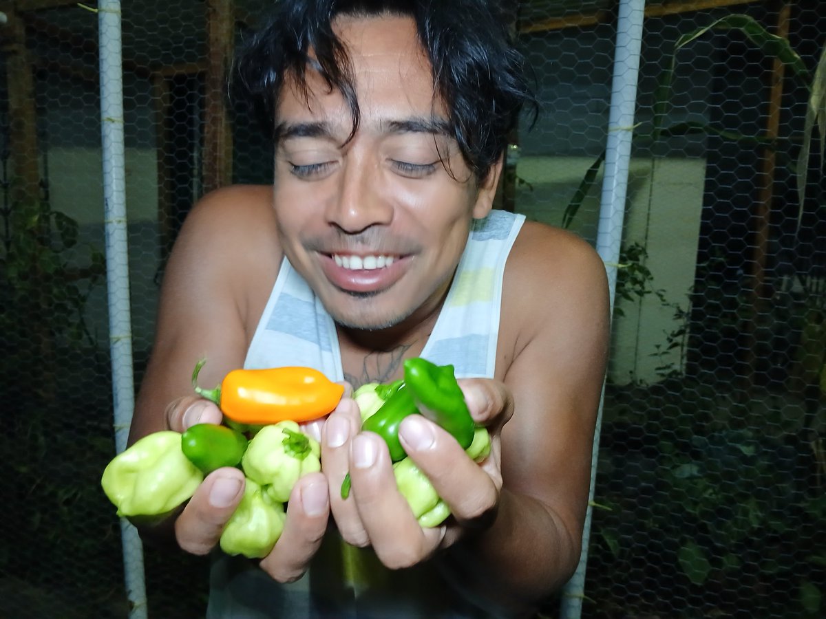 Es momento de cultivar, la soberanía alimentaria también crece en la ciudad.
#ElMicelioSeExpande #repollo #chile #habanero #jalapeño #huertos #urbano #zacamil #NOalamineriaSIalaVIDA