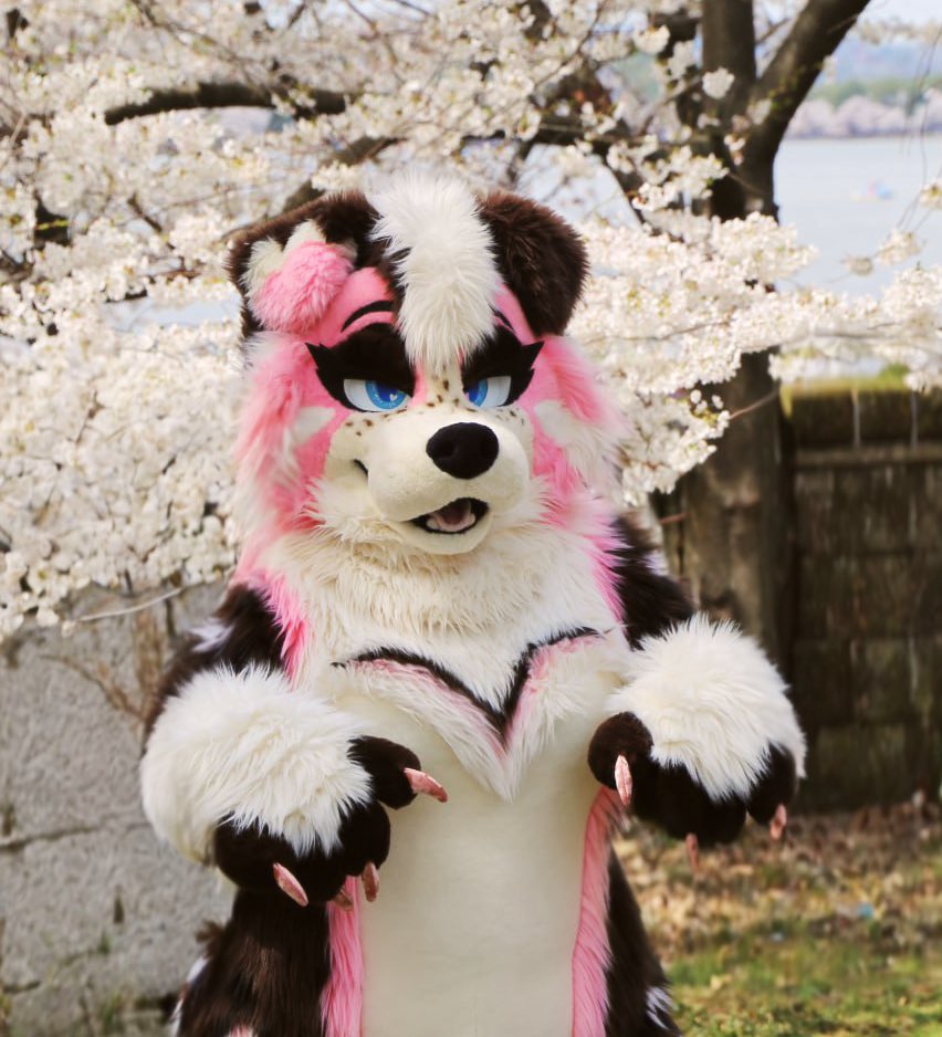 PrettyPuppyWife's tweet photo. Find me at FWA!

🩷Compliment my fit — I will twirl~

🩷Flirt respectfully

🩷Bring me treats! I might even beg~

🩷Invite to parties

🚫Follow me around

🚫Touch without asking

🚫Kill the vibe

See you at FWA, babes — catch me melting hearts all weekend https://t.co/AmsCELzZ6Y