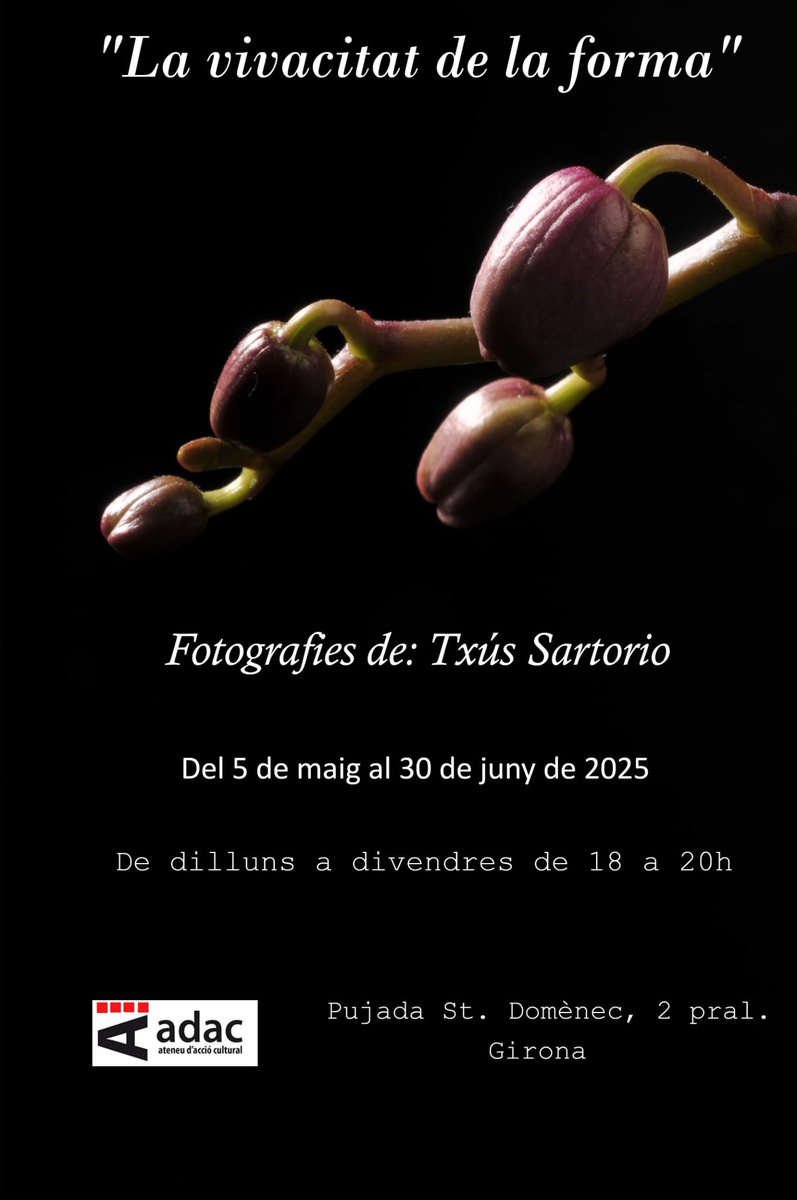 📸 Exposició de fotografies
 "La vivacitat de la forma" de Txús Sartorio
🗓️ Del 5 de maig al 30 de juny
📍 Pujada de Sant Domènec, 2,  principal 2a
No et perdis aquesta mostra que captura l’energia i l’elegància de les formes a través de l’objectiu de Txús Sartorio.