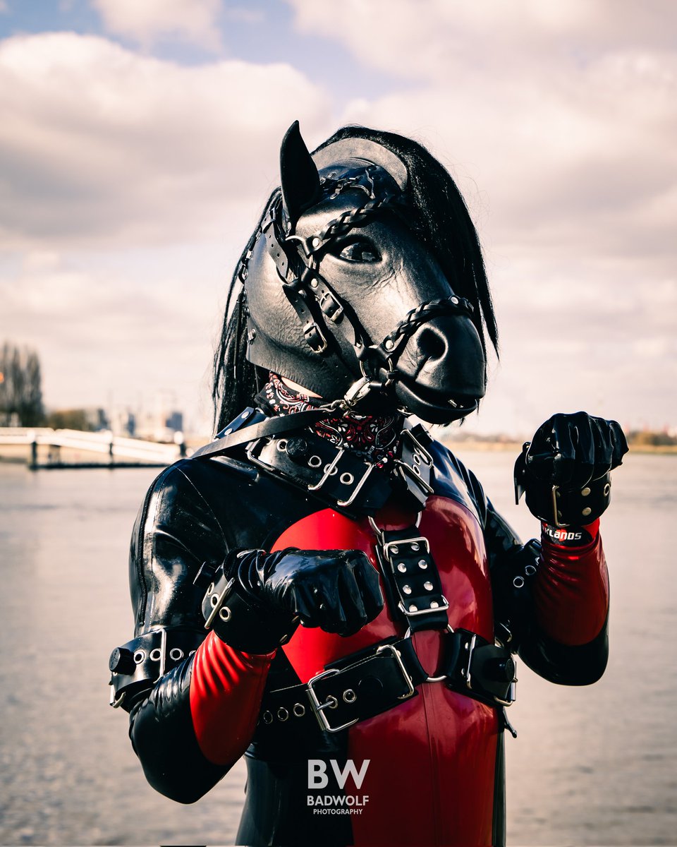 Pup Bayard / Rubberdoll Candy🔜 Vienna/Bratislava (@rubbadoll) on Twitter photo Time for this stallion to go on a ride! Who wants to join? 😜
📸 by <a href="/BadWolfPhotos/">Bad Wolf Photography</a> Time for this stallion to go on a ride! Who wants to join? 😜
📸 by <a href="/BadWolfPhotos/">Bad Wolf Photography</a>