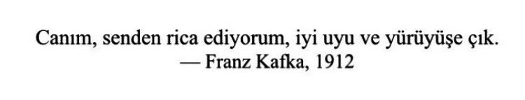 Kafka, yüz yıl önce her şeyi çoktan çözmüştü.