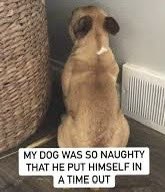 gio🦁 (@clapped_dre) on Twitter photo 