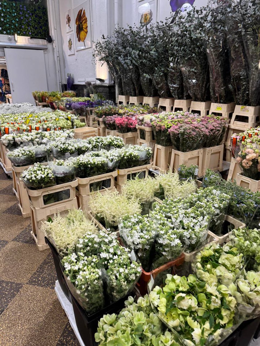 Lin668001's tweet image. The branches full of flowers stand high above the world, precious as the original creation - the one who gave all things left it to her loved one, expressing her hope for a better life.