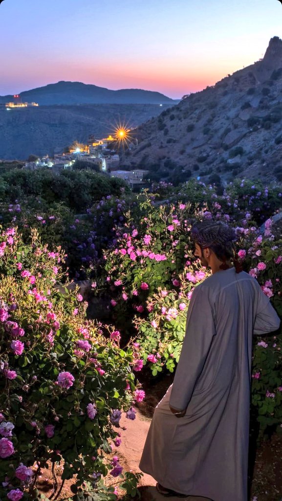 سوف يُزهرُ طريقک .. ولو بعد حين ...🕊️💌

#مساء__الخير
#مساء_الــود_والـــورد