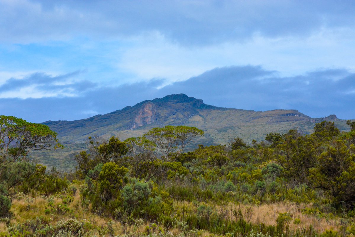 ugandauncovered's tweet photo. Did you know?

Mount Elgon was once Africa’s tallest mountain, but after millions of years of erosion, it's height has dropped to 4,321m, making it the 4th highest in East Africa and 8th on the continent today.

#UncoveredTravel || #ItelMyStoryUg

📸 @MassifMontane https://t.co/GZ31F0L53f