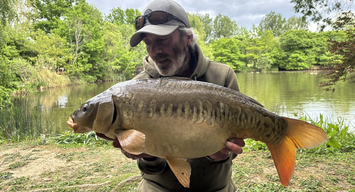 Awesome linear from this weekend