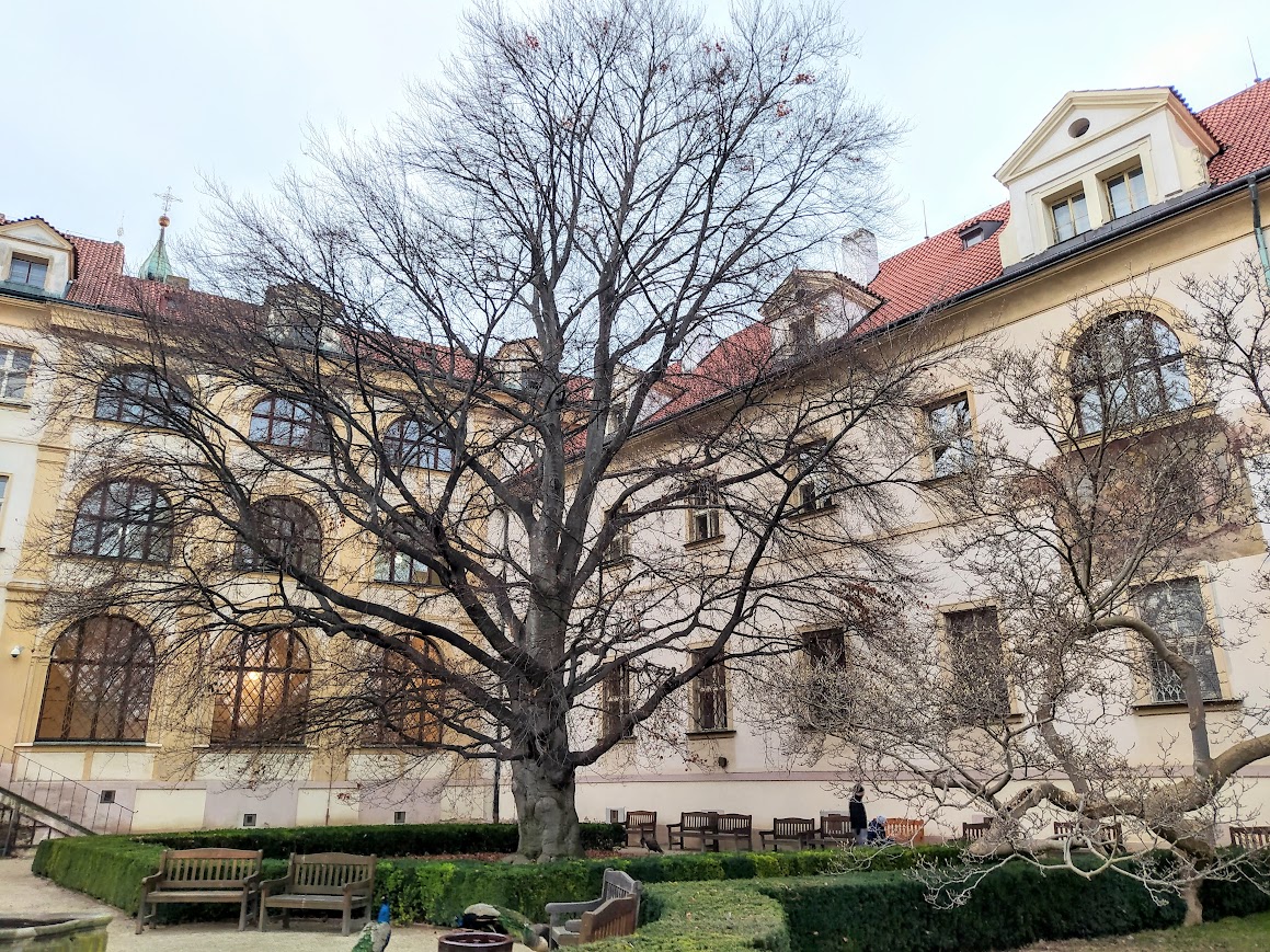 Vojanovy sady na Malé Straně patří mezi nejstarší zahrady v Praze. Vznikaly od 17. století u kláštera karmelitek a zchátralého biskupského dvora z 13. století. Dnešní název dostaly sady po herci Eduardu Vojanovi, který se narodil 5. 5. 1853 v sousední Míšeňské ulici.