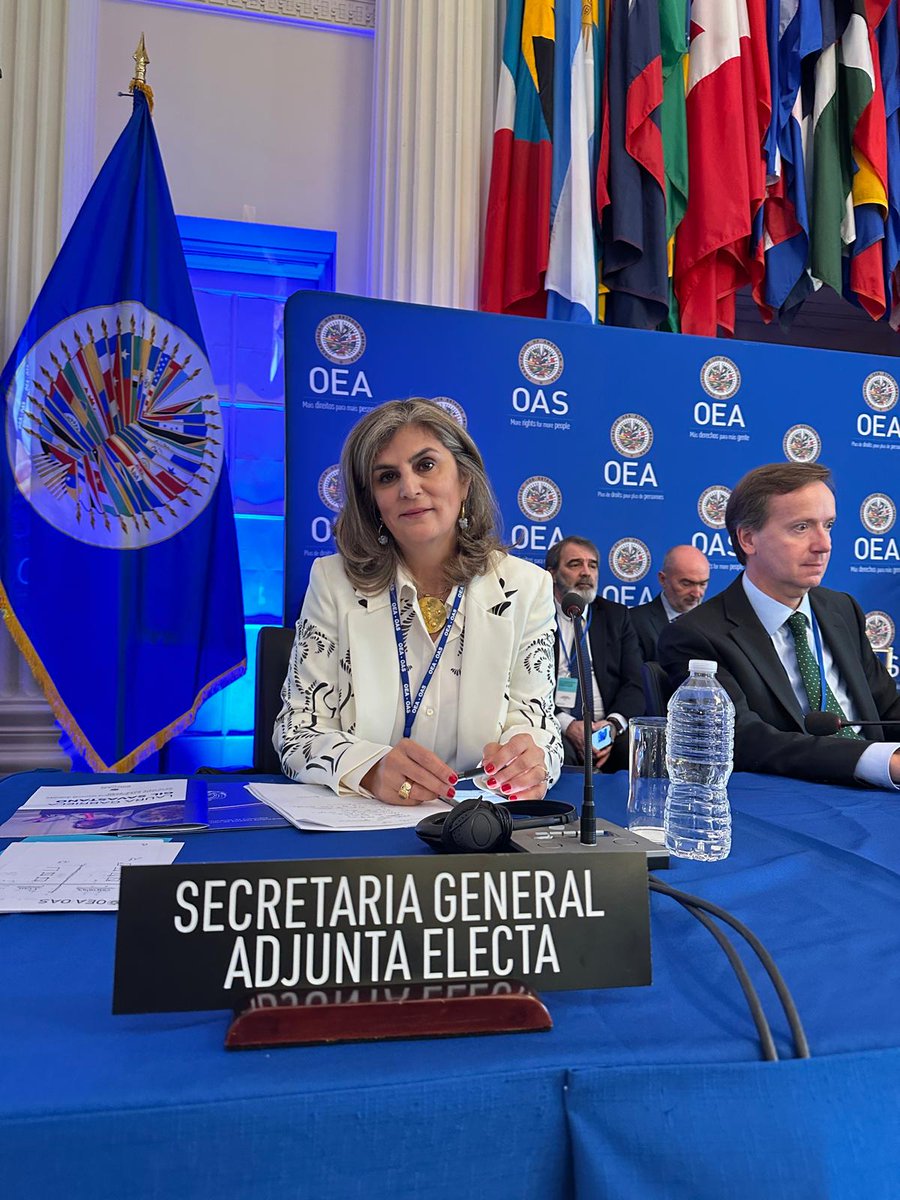 Con 19 votos a favor, la candidata de Colombia, Laura Gil, es elegida próxima Secretaria General Adjunta de la OEA. Su mandato comenzará el 17 de julio y se extenderá hasta 2030.