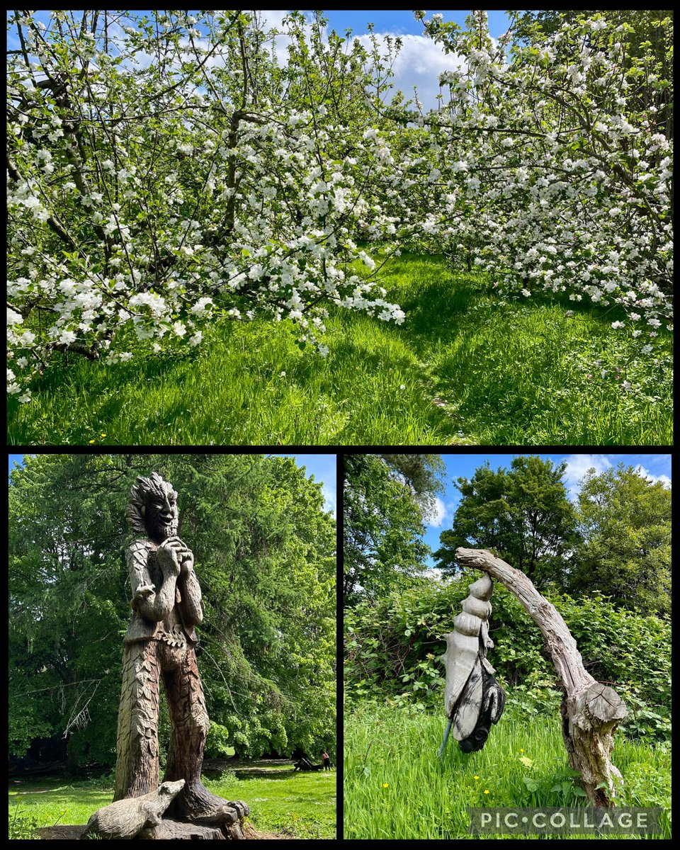 Berllan Fferm y Fforest 🐝🦋🌳
Forest Farm Orchard 🐝🦋🌳