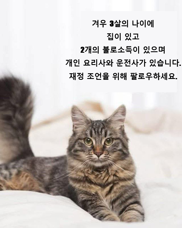 megigogi_'s tweet photo. . https://t.co/9zjJwu3cZL