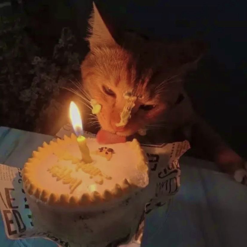 🎂