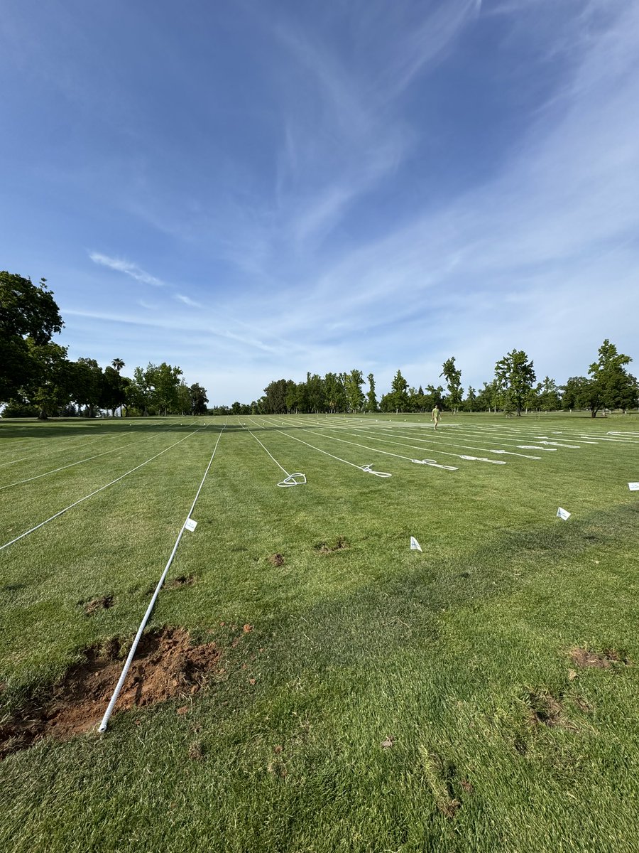 Hydrowick Drainage tweet media