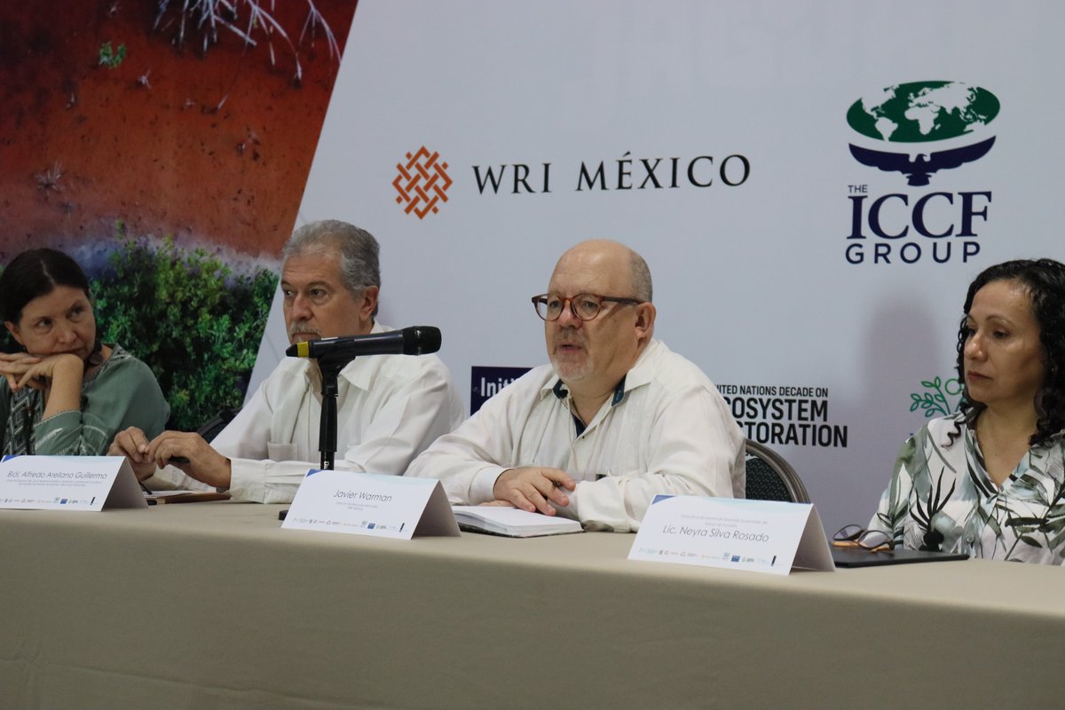 WRIMexico's tweet photo. #HOY En #Campeche, iniciamos la ceremonia Inaugural de la Aceleradora de Políticas de Restauración y Gestión Sostenible de Manglar, un espacio de colaboración para fortalecer la conservación de estos ecosistemas vitales para la #ResilienciaClimática
#RestauraciónDelManglar https://t.co/O5w1cisZYc