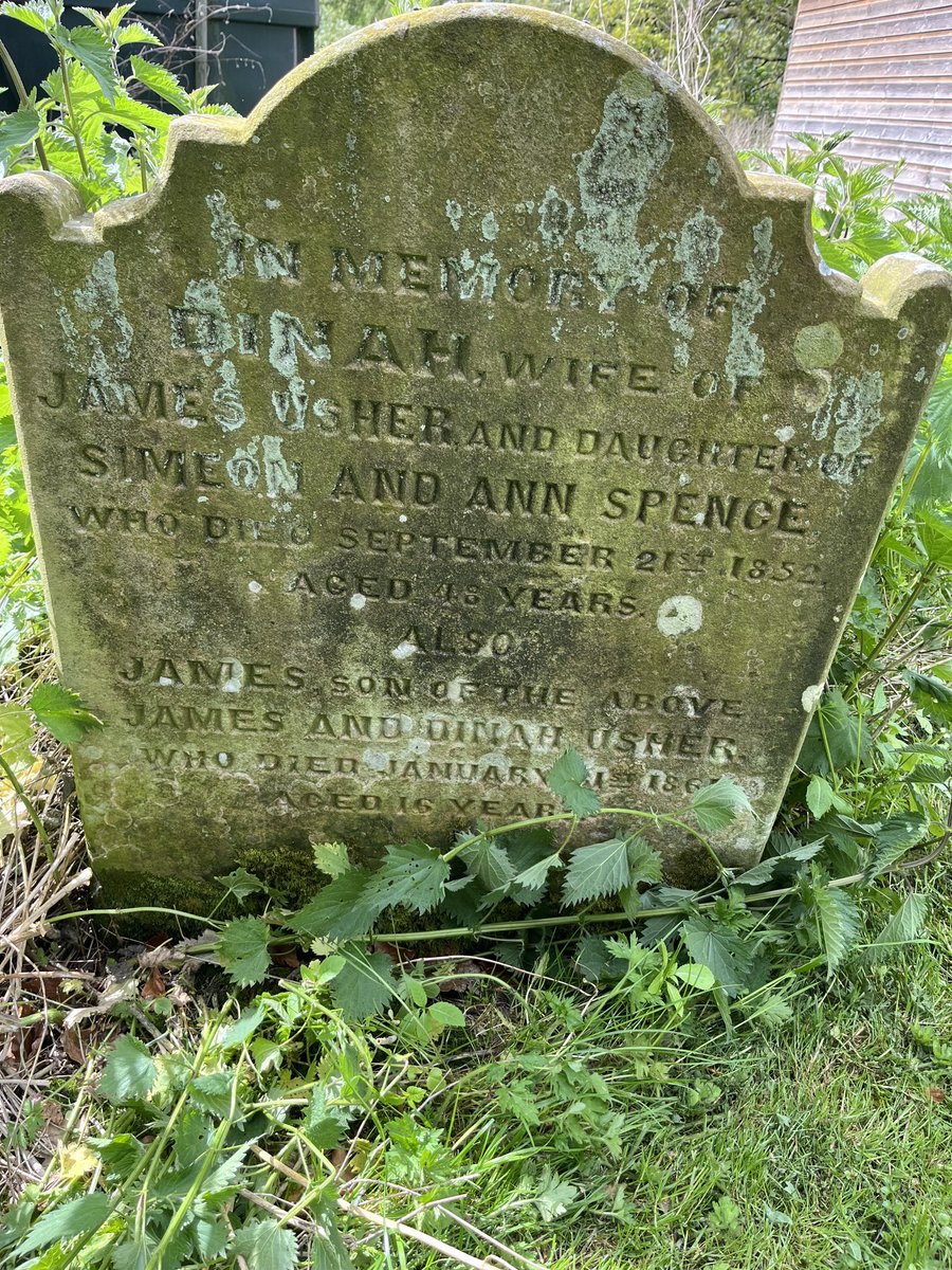 York Family History (@yorkfhs) on Twitter photo Been doing some family history field work today after a meeting with <a href="/YorkshireFHSs/">Yorkshire Group FHS</a>. Long Street in Easingwold and the gravestone of Spence and Usher family in Low Catton. <a href="/FederationFHS/">Family History Federation</a> <a href="/GuildOneName/">GuildOneNameStudies 🌳</a> <a href="/OnePlaceStudies/">Society for One-Place Studies 1⃣🏘️🔎</a> <a href="/BALHNews/">BALH</a> Been doing some family history field work today after a meeting with <a href="/YorkshireFHSs/">Yorkshire Group FHS</a>. Long Street in Easingwold and the gravestone of Spence and Usher family in Low Catton. <a href="/FederationFHS/">Family History Federation</a> <a href="/GuildOneName/">GuildOneNameStudies 🌳</a> <a href="/OnePlaceStudies/">Society for One-Place Studies 1⃣🏘️🔎</a> <a href="/BALHNews/">BALH</a>
