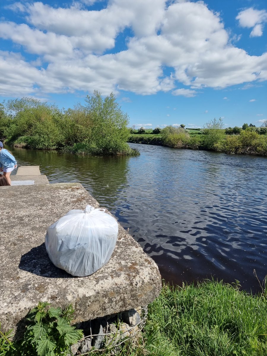 roriain's tweet photo. Another cracker of a day. Walking and picking up #litter. Common blue, Lanigans slipway to Milford bridge on the #BarrowTrack. Dryad's saddle, wintercress & common blue butterfly. #LeaveNoTrace #adoptaspot https://t.co/9wUSuaHdwg