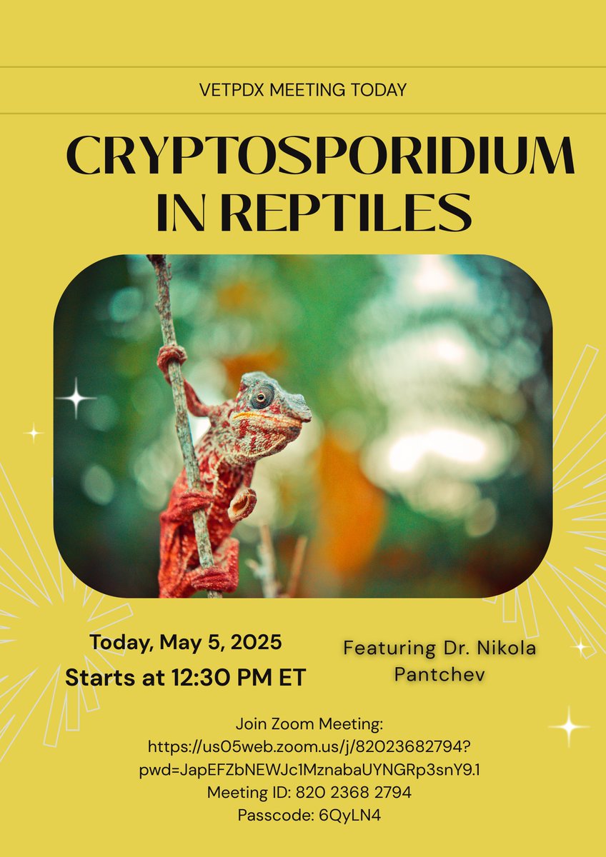 Join us today for our VETPDX Meeting at 12:30 ET where Dr. Nikola Pantchev will present on Cryptosporidium in reptiles! #parasitology #protozoa #AAVP #Reptilemedicine #veterinarymedicine #veterinaryparasitology