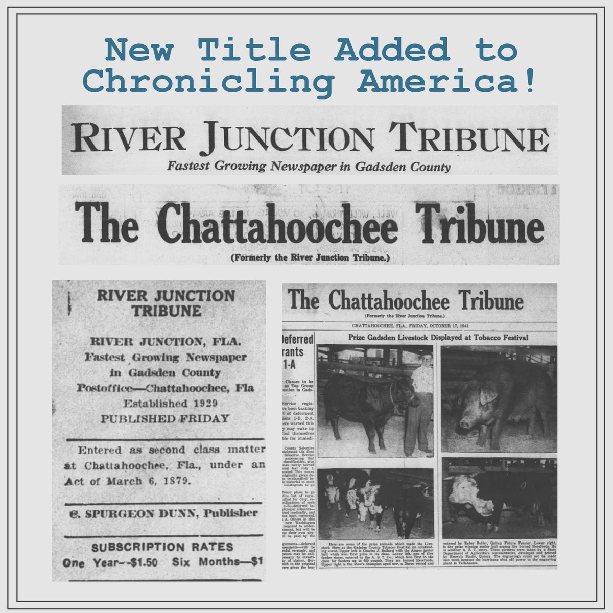 141 issues of the River Junction Tribune years 1935-1941 and 16 issues of the related title The Chattahoochee Tribune year 1941 have been added to Chronicling America! Check out our blog post with a history of the paper: bit.ly/RJT_Blog #VintageNewspapers #ChronAm