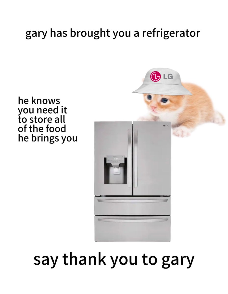 thank you gary 🐈