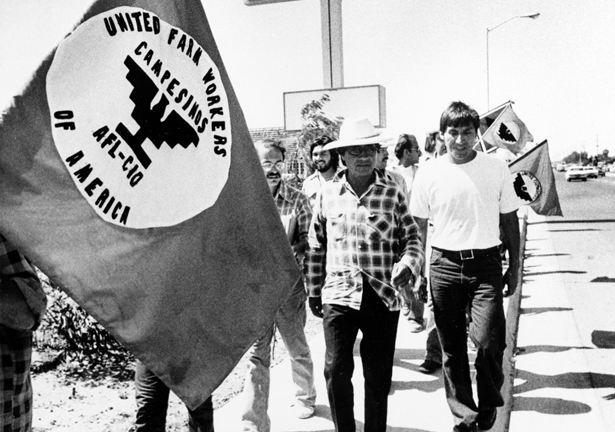 ACP_Leaks's tweet photo. ACP 🤝 Trump

(when it comes to organizing migrant workers)

You know ACP is a total honeypot when they've never even heard of UFW organizing. https://t.co/z7ULOK8noQ