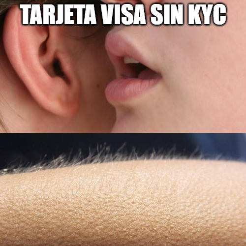 He encontrado la mejor tarjeta para gastar sin KYC

✅100% anónima
✅Solo un 2.3% de comisiones (parecido a P2P)
✅Hasta $100,000 disponibles para usar
✅Múltiples divisas y países
✅Visa y MasterCard

Te explico cómo la estoy utilizando🧵