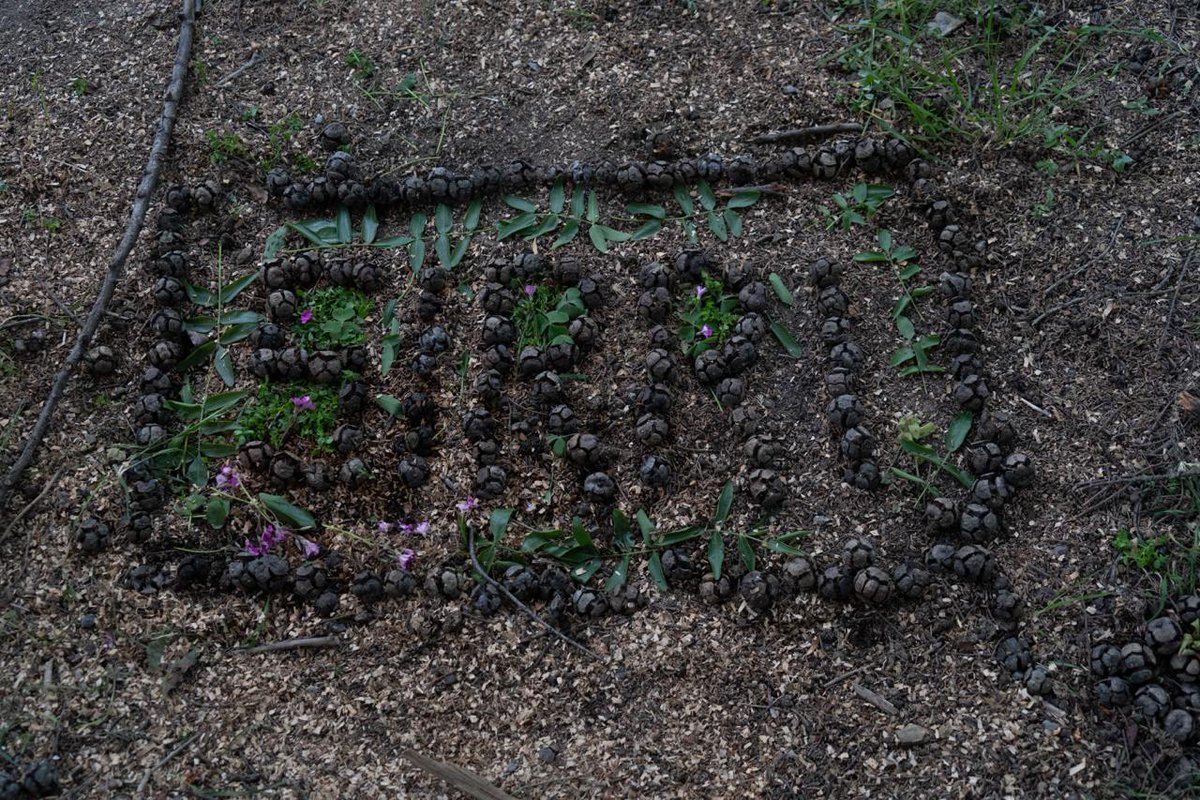 Hoşçakal Sırrı Süreyya Önder.
Zincirlikuyu Mezarlığı 04.05.2025